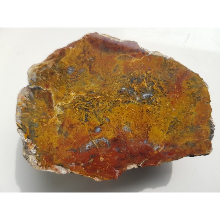 Barwny jaspiso-agat z aluwiów Nysy Kłodzkiej