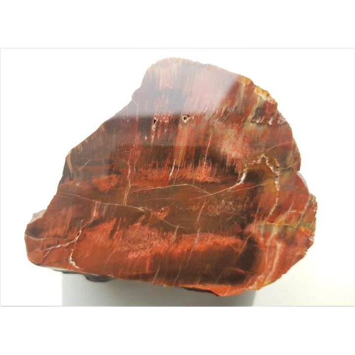 Intensywnie czerwone, wyraziste drewno skrzemieniałe z aluwiów Nysy Kłodzkiej