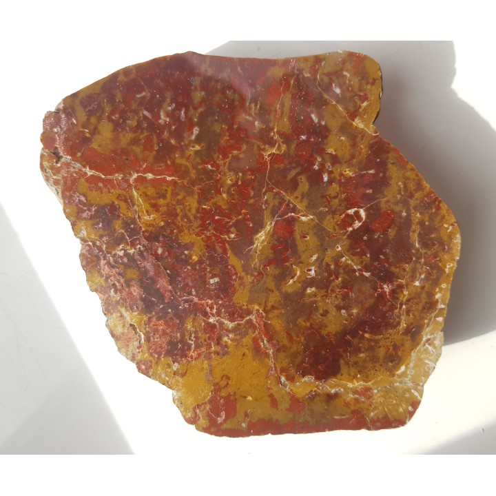 Jaspis z aluwiów Nysy Kłodzkiej