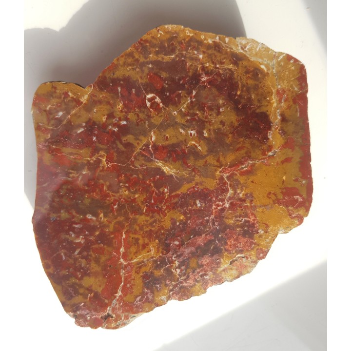 Jaspis z aluwiów Nysy Kłodzkiej