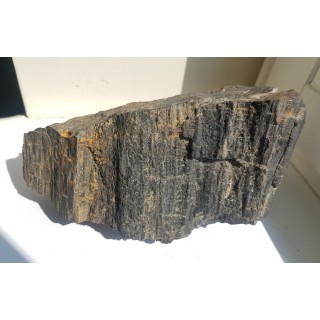 Drewno skrzemieniałe z historycznej lokalizacji z okolic Nowej Rudy