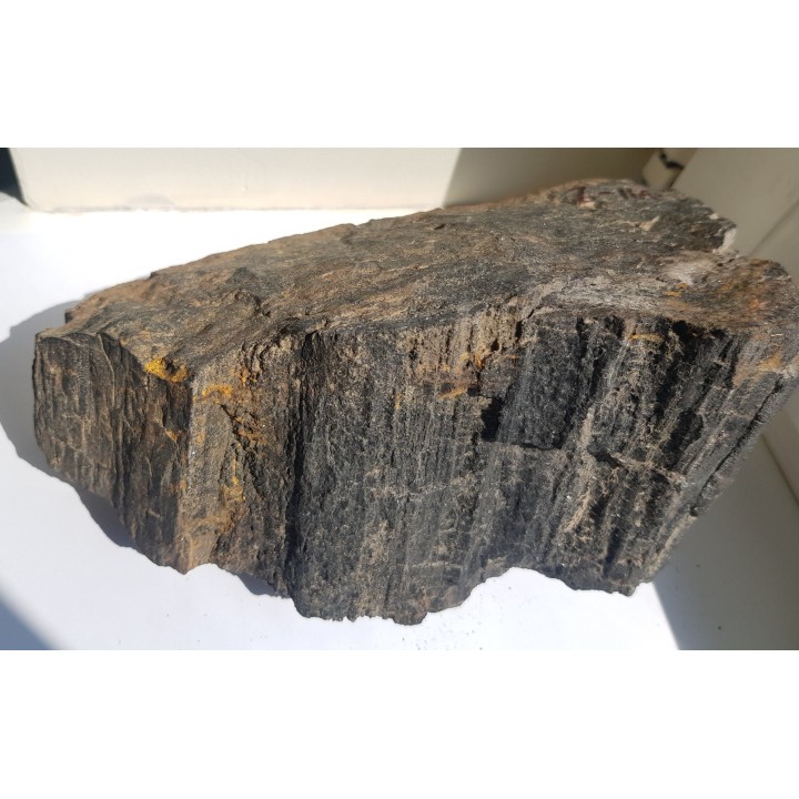 Drewno skrzemieniałe z historycznej lokalizacji z okolic Nowej Rudy