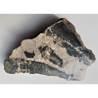 Szelit w kwarcu w amfibolicie piroksenowym z Droszkowa k. Jaszkowej Górnej