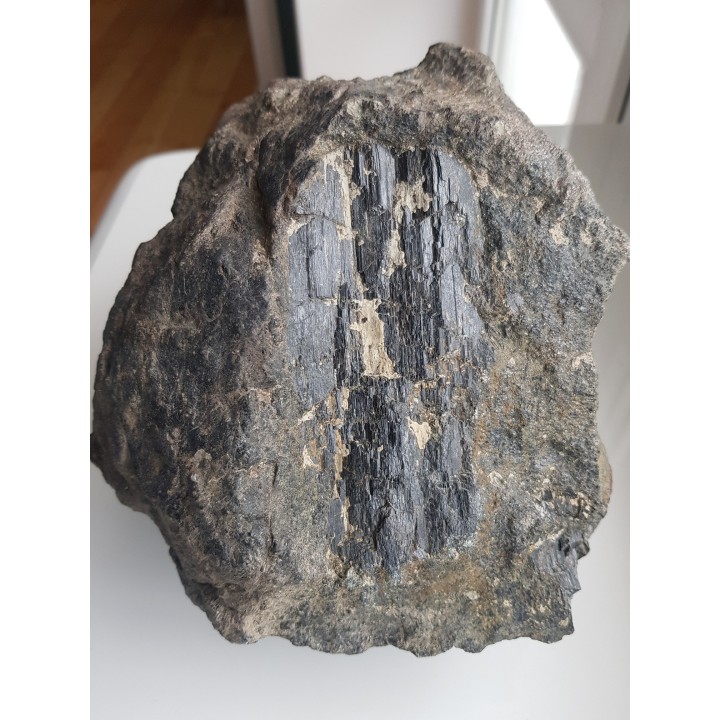 Wielki kryształ piroksenu w noduli z serpentynitów z Gór Sowich