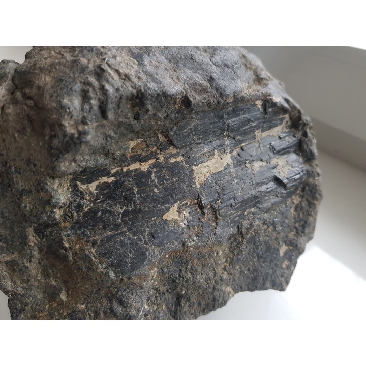 Wielki kryształ piroksenu w noduli z serpentynitów z Gór Sowich