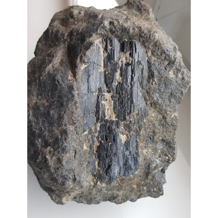 Wielki kryształ piroksenu w noduli z serpentynitów z Gór Sowich