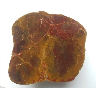 Jaspis z aluwiów Nysy Kłodzkiej