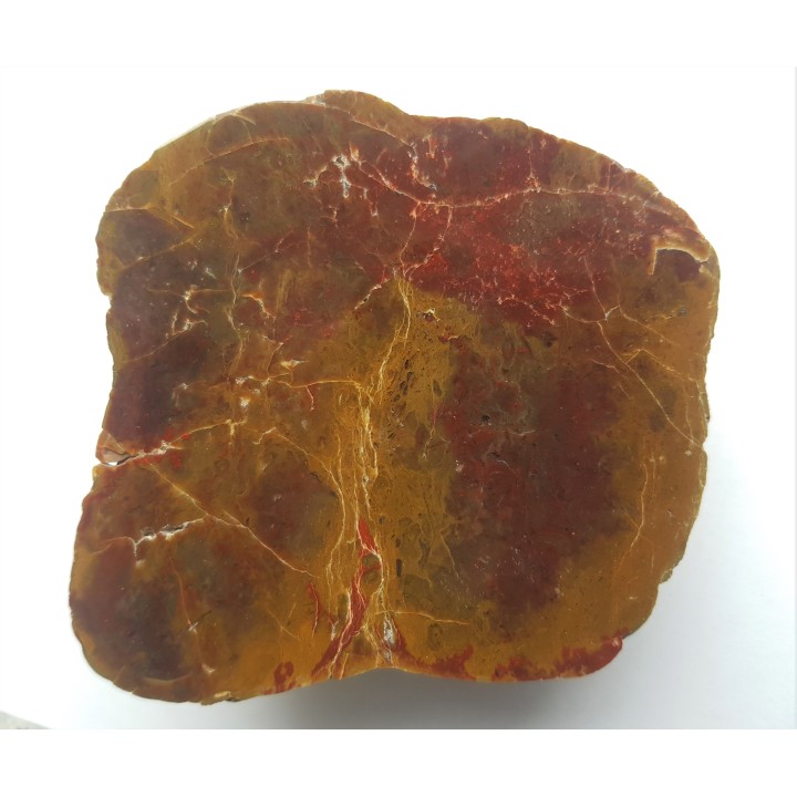 Jaspis z aluwiów Nysy Kłodzkiej