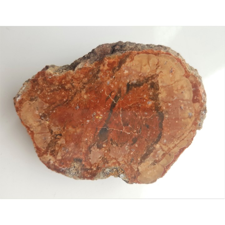 Przekrój przez porfir kulisty z Jedliny Zdroju