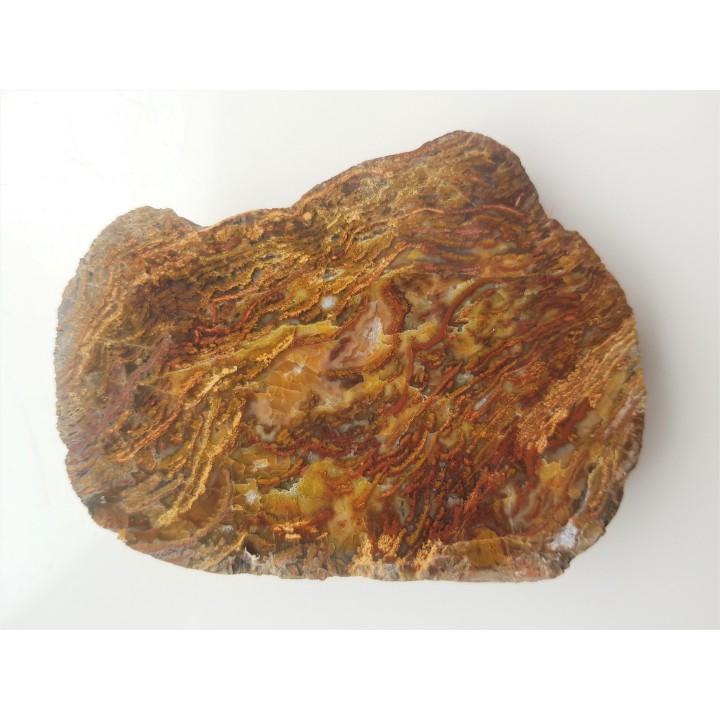 Niezwykły jaspiso-agat z aluwiów Nysy Kłodzkiej