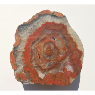 Agat "rzeczny" z Bobru w Sudetach (river agate)