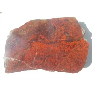 Jaspis koralowy, orbikularny z kulmu niecki śródsudeckiej