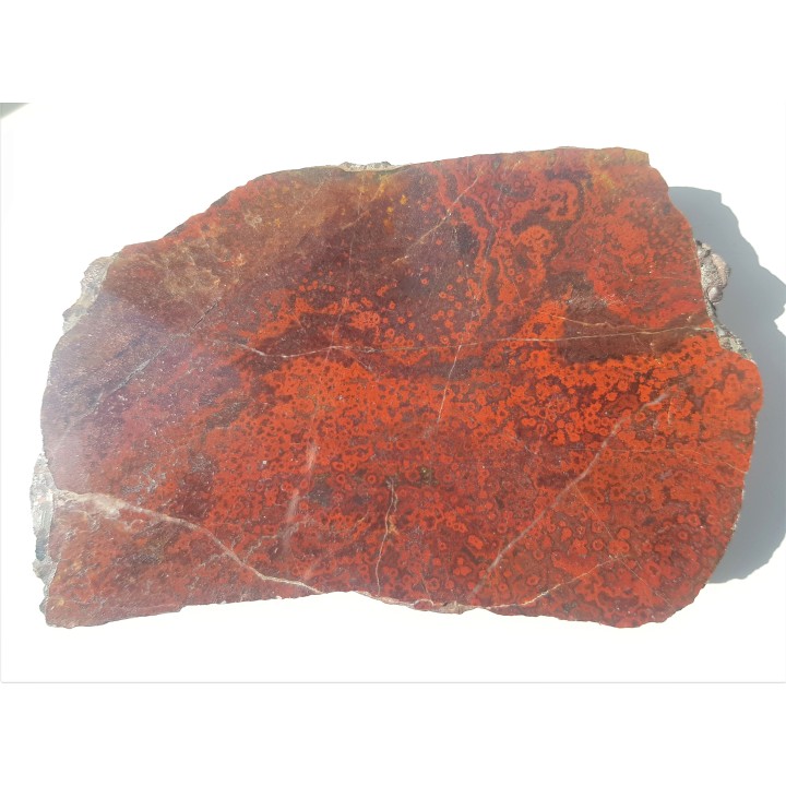 Jaspis koralowy, orbikularny z kulmu niecki śródsudeckiej