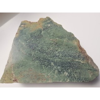 Erlan z Masywu Śnieżnika