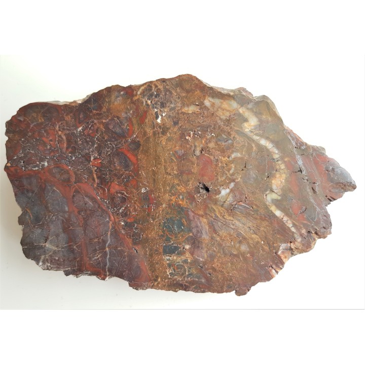 Brekcja jaspisowa z okolic Świerzawy