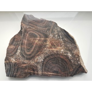 Granit orbikularny z Finlandii