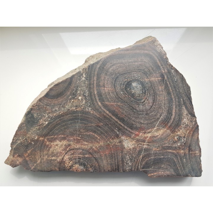 Granit orbikularny z Finlandii