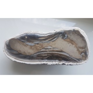 Doskonały okaz krzemienia z Raciszyna (Jura Wieluńska)