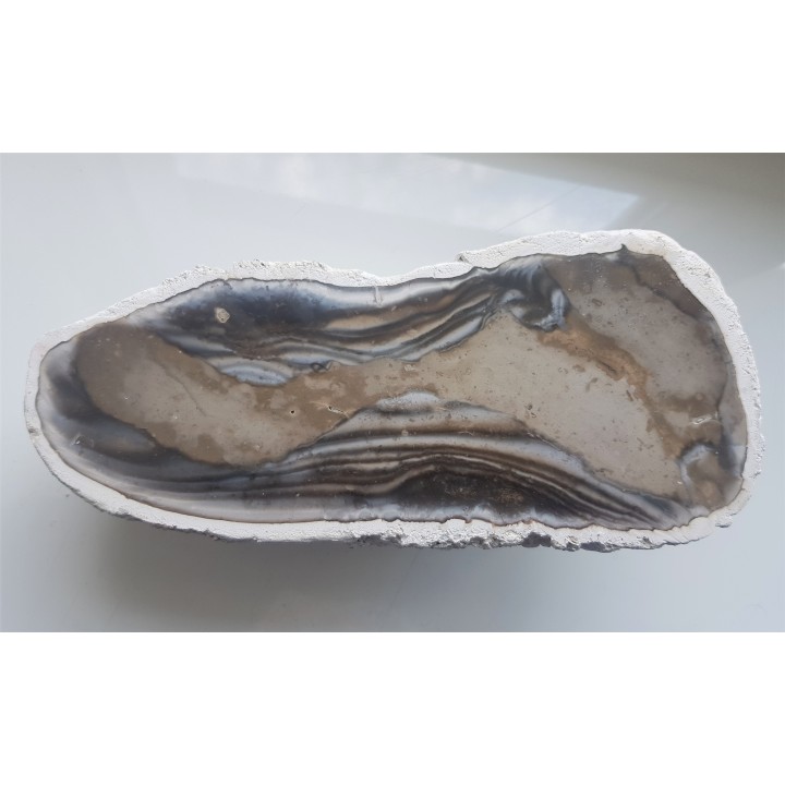 Doskonały okaz krzemienia z Raciszyna (Jura Wieluńska)