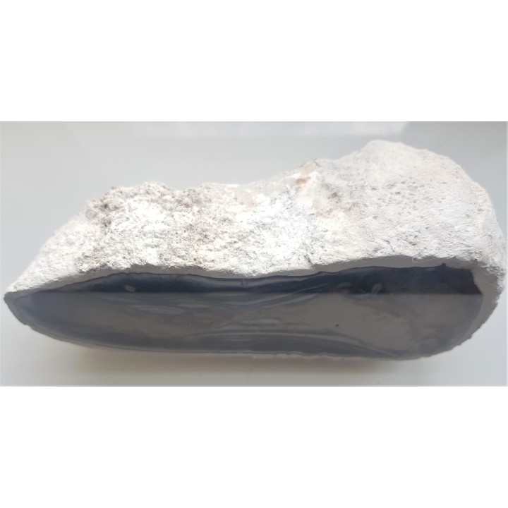 Doskonały okaz krzemienia z Raciszyna (Jura Wieluńska)