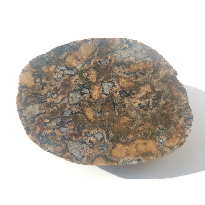 Niezwykły eratyk, Orzechowo - pobrzeże Bałtyku