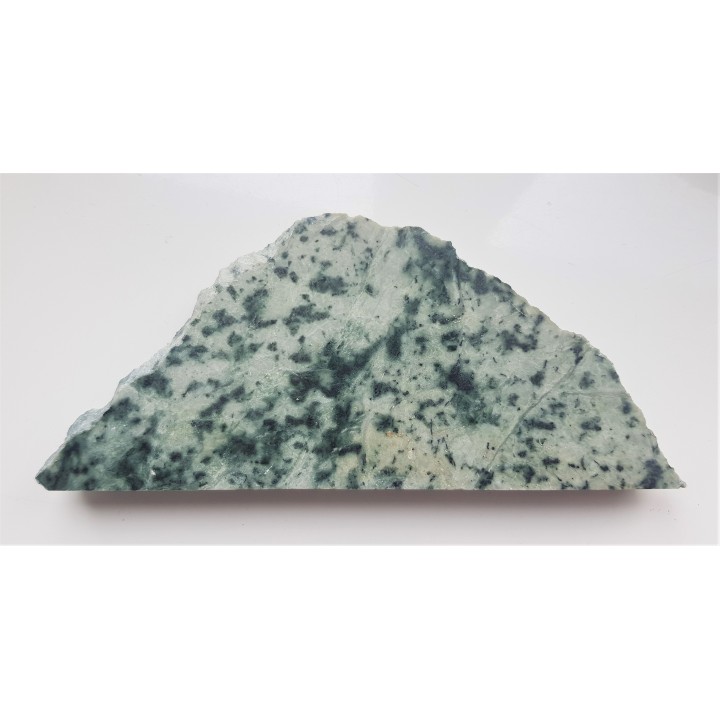 Biała odmiana żmijowca z Nasławic