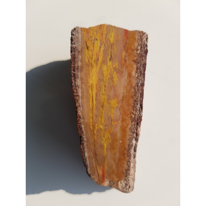 Tygrysie oko z Różanej k. Nowego Kościoła