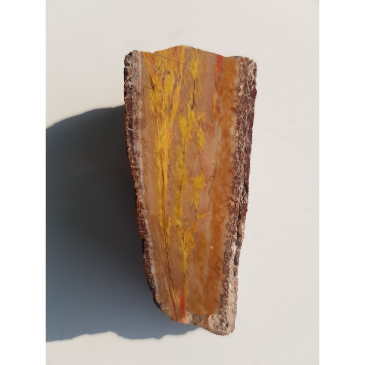 Tygrysie oko z Różanej k. Nowego Kościoła