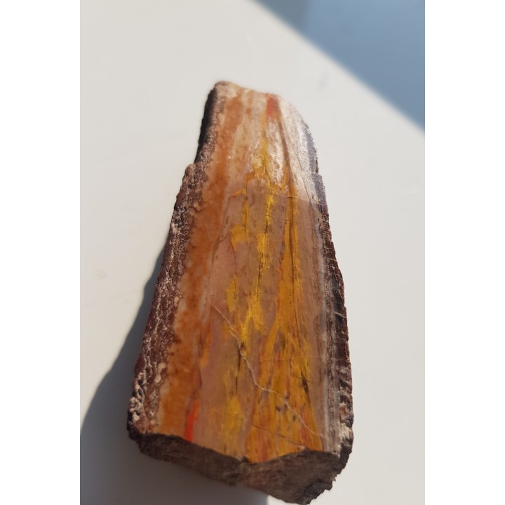 Tygrysie oko z Różanej k. Nowego Kościoła