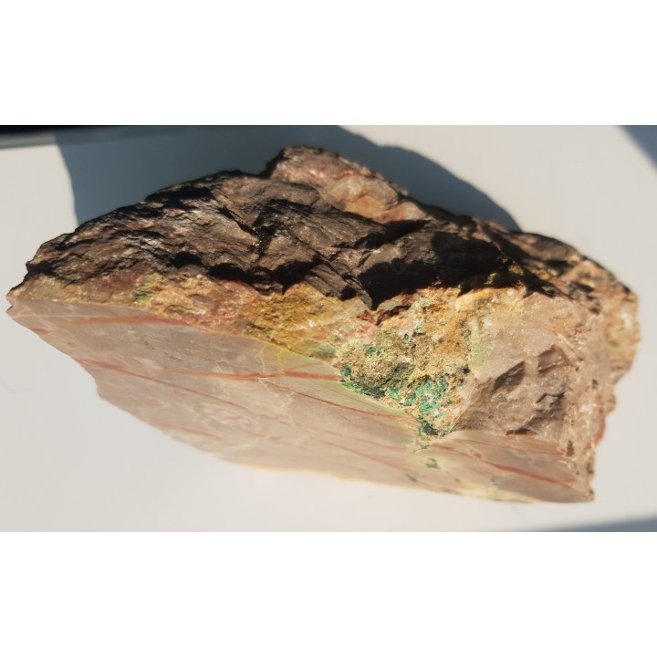 Malachit i koral w wapieniu dewońskim z Miedzianki w G. Świętokrzyskich