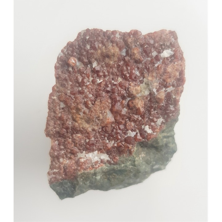 Szczotka prawidłowo wykształconych granatów na skale wapniowo-krzemianowe ze Starej Kamienicy k. Jeleniej Góry