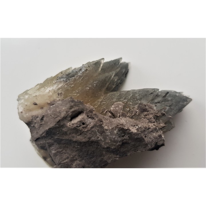 Unikatowe kryształy zielonego kalcytu z pirytem z Lubina