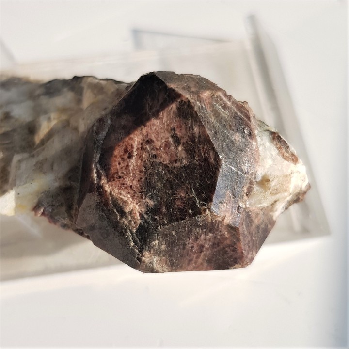 Doskonale wykształcony kryształ granatu z Piławy Górnej