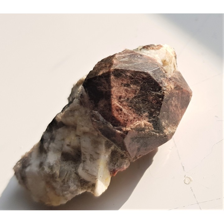 Doskonale wykształcony kryształ granatu z Piławy Górnej