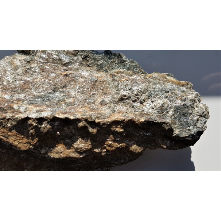 Dysten z Kamieńca Ząbkowickiego