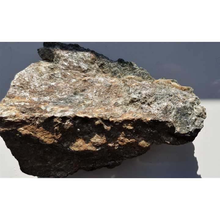 Dysten z Kamieńca Ząbkowickiego