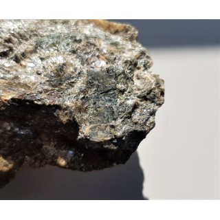 Dysten z Kamieńca Ząbkowickiego