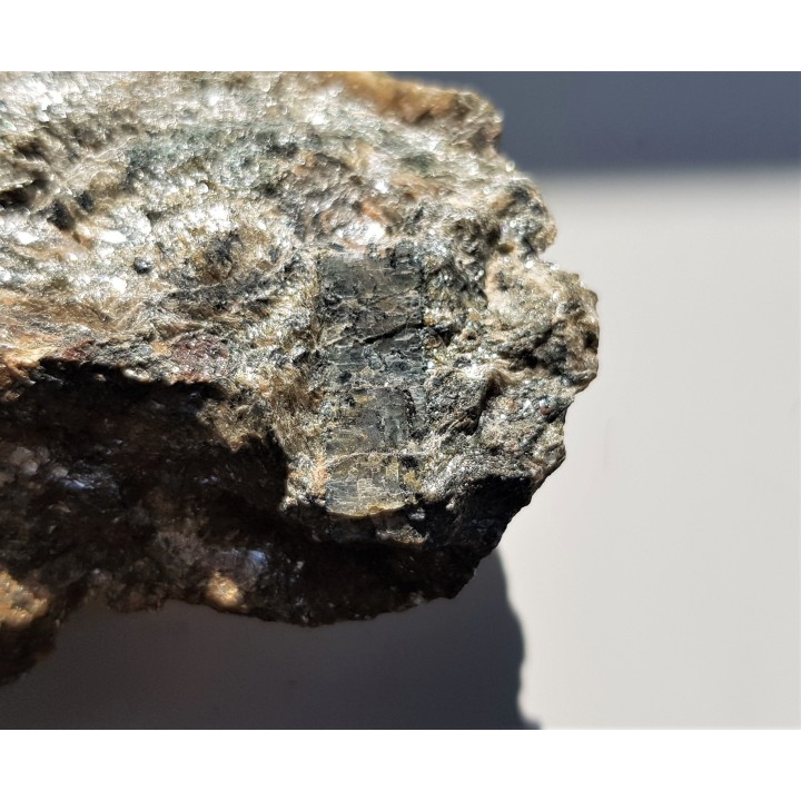 Dysten z Kamieńca Ząbkowickiego