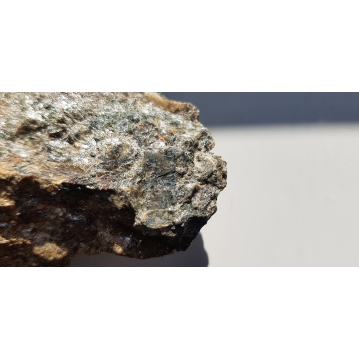 Dysten z Kamieńca Ząbkowickiego