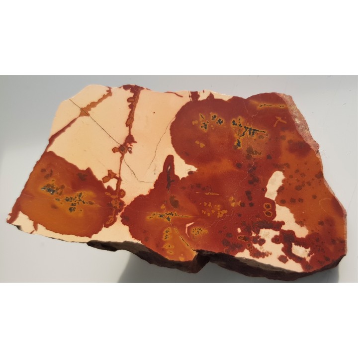 Pseudojaspis pejzażowy z Sudetów