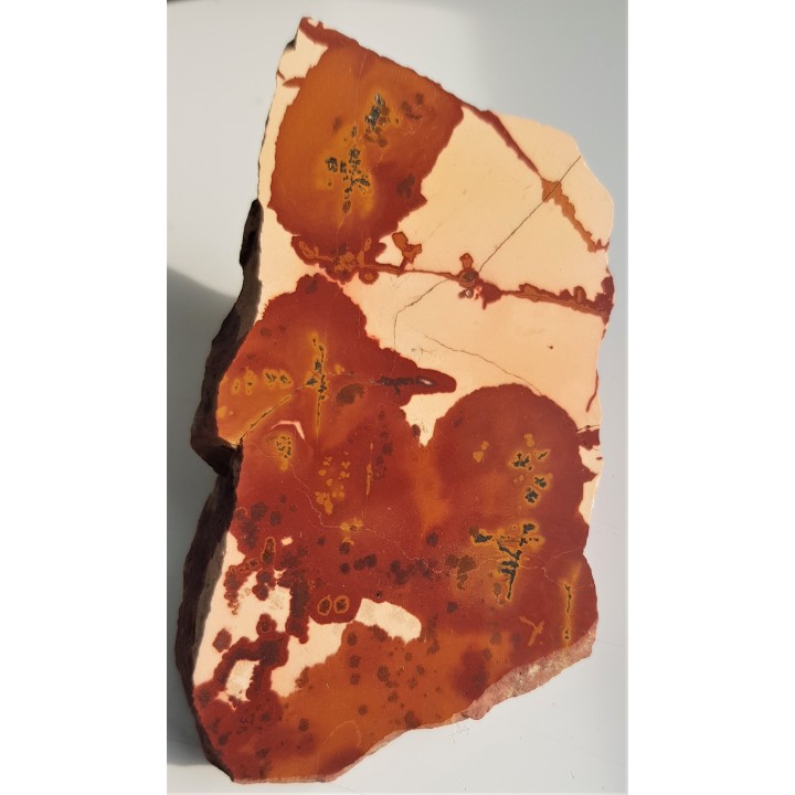 Pseudojaspis pejzażowy z Sudetów