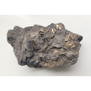 Kryształy pirytu w łupku węglowym z kopalni Szczygłowice