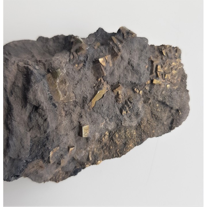 Kryształy pirytu w łupku węglowym z kopalni Szczygłowice