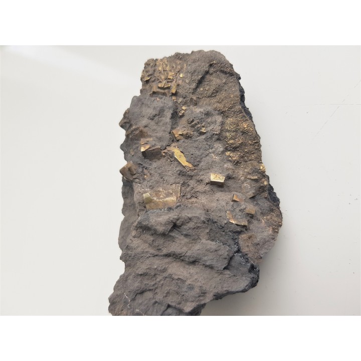 Kryształy pirytu w łupku węglowym z kopalni Szczygłowice