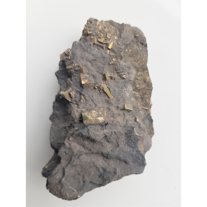 Kryształy pirytu w łupku węglowym z kopalni Szczygłowice