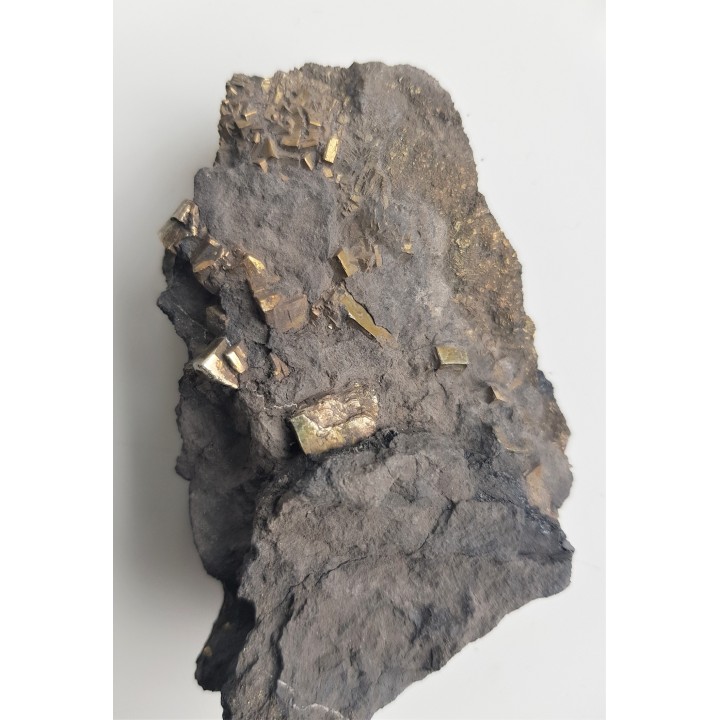 Kryształy pirytu w łupku węglowym z kopalni Szczygłowice