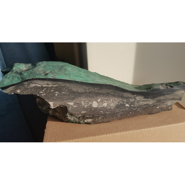 Wyjątkowy okaz z KGHM - malachit, chalkozyn, ramienionogi w dolomicie