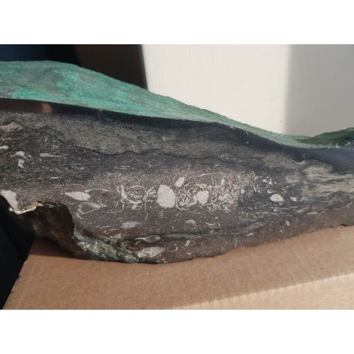 Wyjątkowy okaz z KGHM - malachit, chalkozyn, ramienionogi w dolomicie