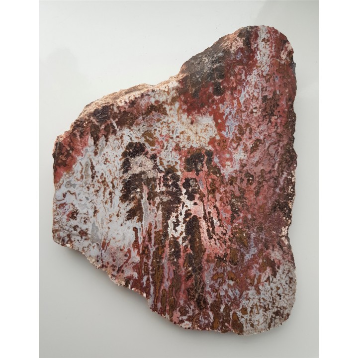 Wspaniały, kontrastowy jaspis dendrytowy z Sokołowca