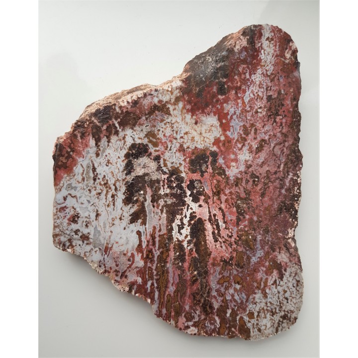 Wspaniały, kontrastowy jaspis dendrytowy z Sokołowca